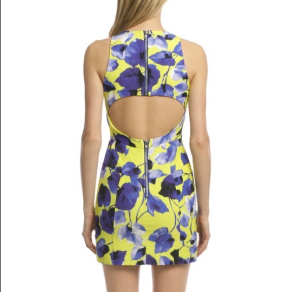 Milly Floral Dress - Picture 4 of 4